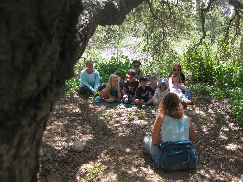 Many stories were told under the story tree.