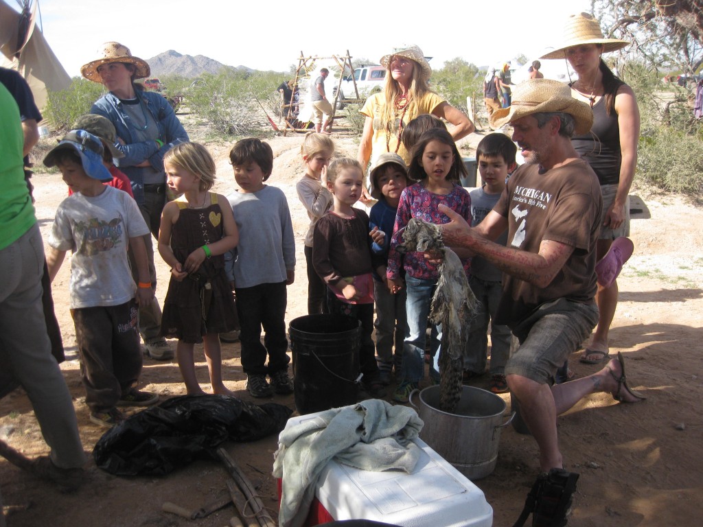 We watched a guy curing his roadkill bobcat hide.