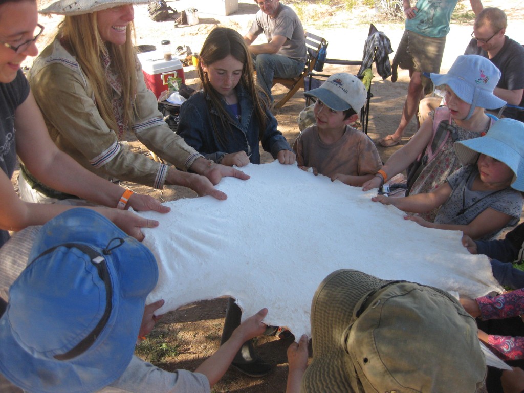 Then the next day we went back to help soften the hides. It take s a lot of work to work a hide. In this picture was are all pulling full-strength in all different directions.