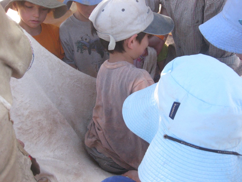 The deer hide was strong enough to bounce kids.