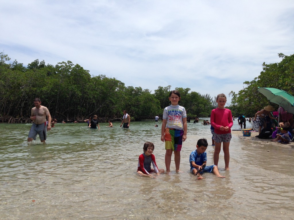 Hanging at the lagoon in Jupiter. The water was amazingly clear and the shore was bounded by mangrove trees.
