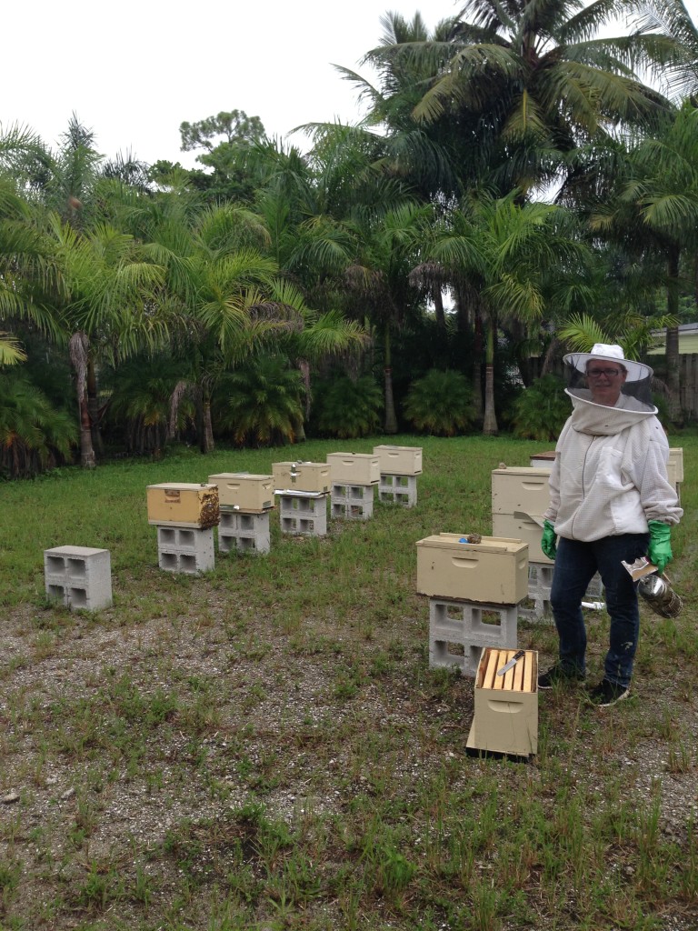 Sierra' first bee yard! How sweet and small. Humble beginnings. This pic was taken on her her visit to her first bee yard in summer 2014.